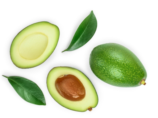 Avocat